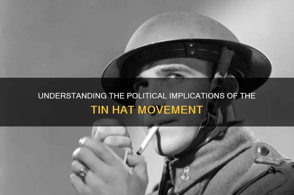 what is tin hat politically