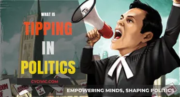 Understanding Tipping Points: How Small Shifts Shape Political Landscapes