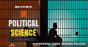Understanding Tit-for-Tat Dynamics in Political Science: A Comprehensive Guide