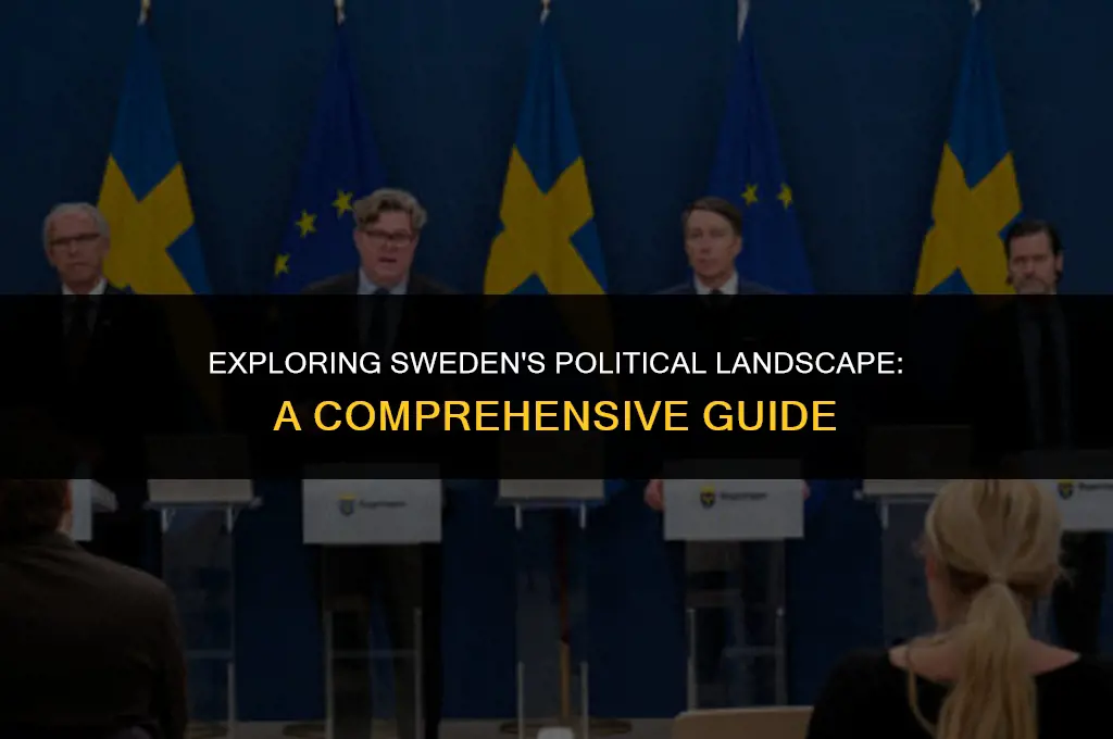 what is tne political system in sweden