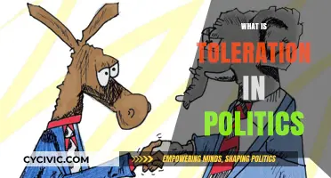Understanding Political Toleration: Principles, Challenges, and Its Role in Democracy