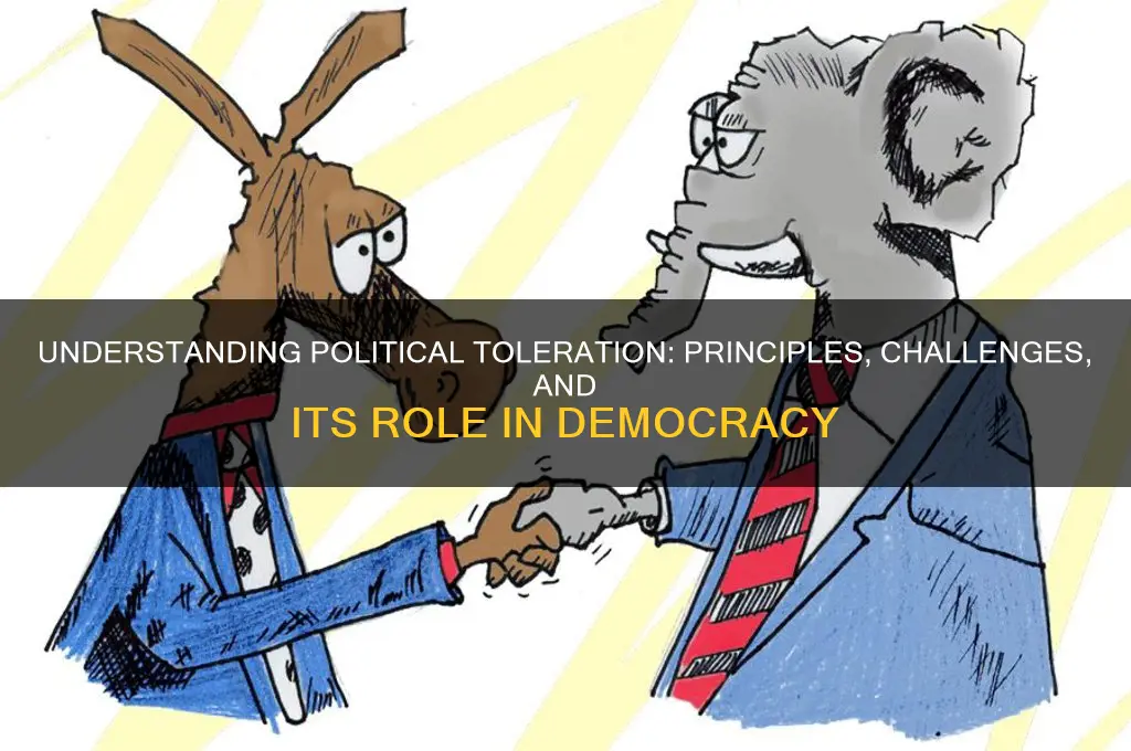what is toleration in politics
