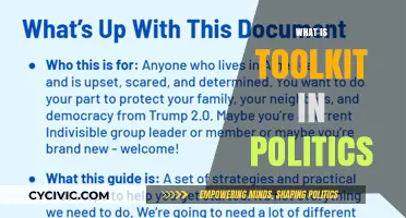 Understanding Political Toolkits: Strategies, Resources, and Influence in Politics