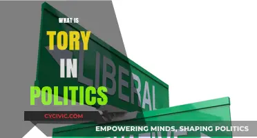 Understanding Tory Politics: Origins, Beliefs, and Modern Influence Explained