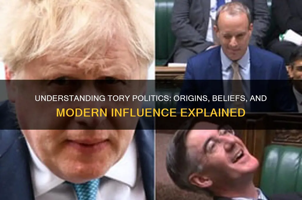 what is tory in politics