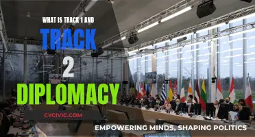 Understanding Track 1 and Track 2 Diplomacy: Two Distinct Approaches