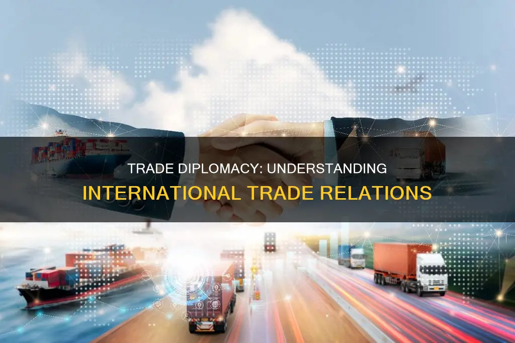 what is trade diplomacy