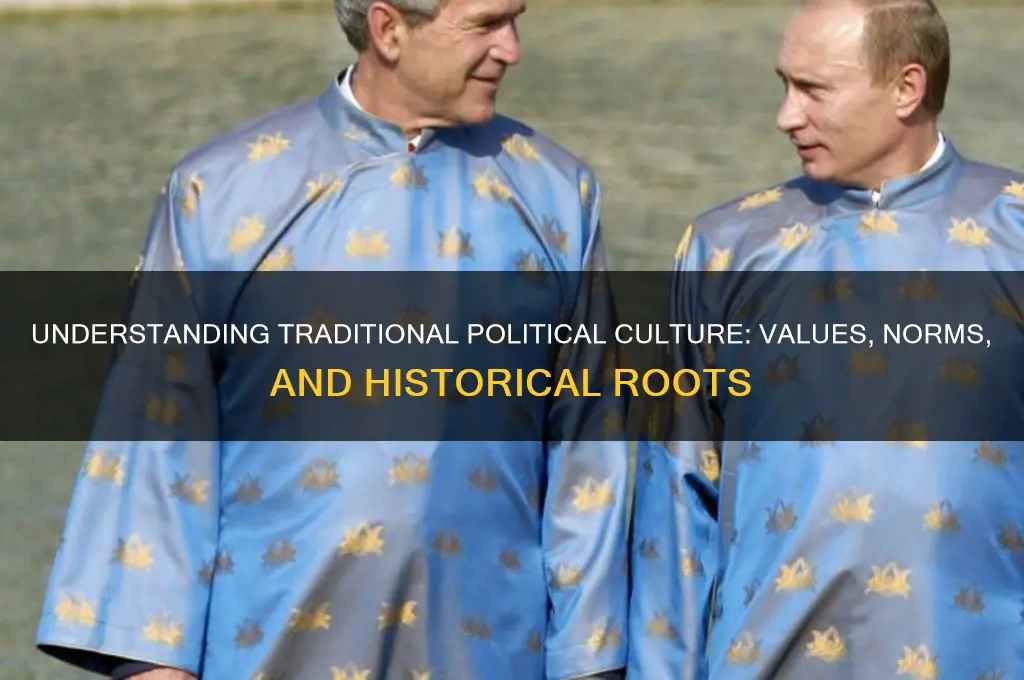 what is traditional political culture