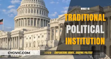 Understanding Traditional Political Institutions: Structure, Role, and Historical Significance