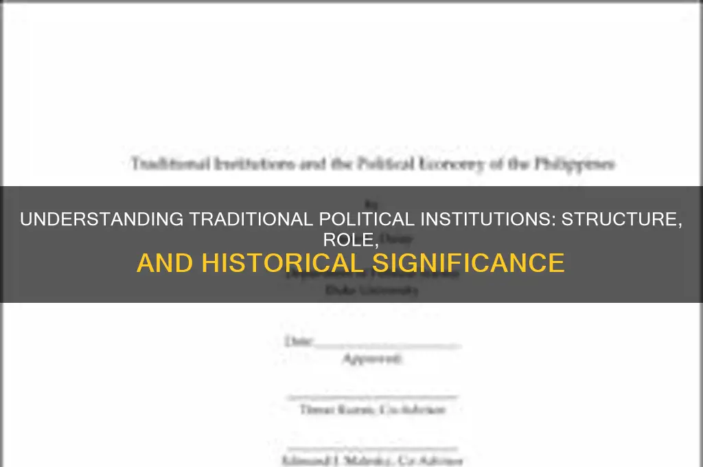 what is traditional political institution