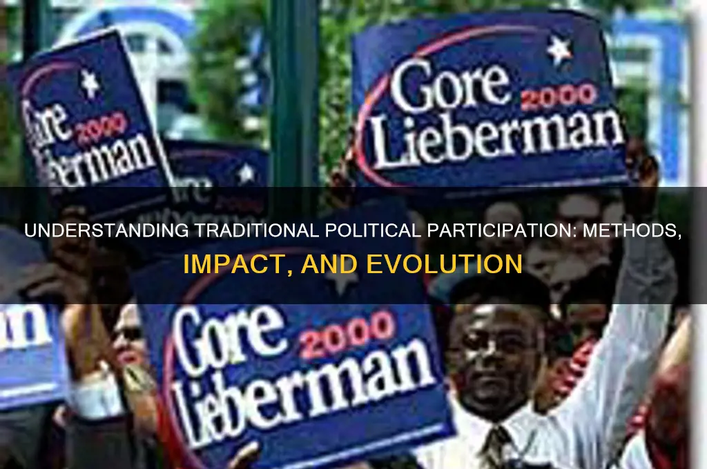 what is traditional political participation
