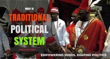 Exploring the Foundations: What Is a Traditional Political System?