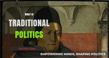 Understanding Traditional Politics: Core Principles, Practices, and Modern Relevance