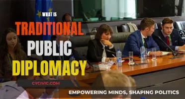 Public Diplomacy: Traditional Methods, Modern Impact