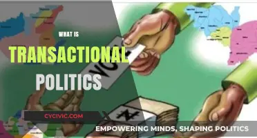 Understanding Transactional Politics: Power, Bargaining, and Policy Trade-Offs Explained