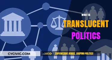 Understanding Translucent Politics: Transparency, Accountability, and Modern Governance