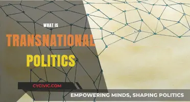 Understanding Transnational Politics: Global Actors, Networks, and Power Dynamics