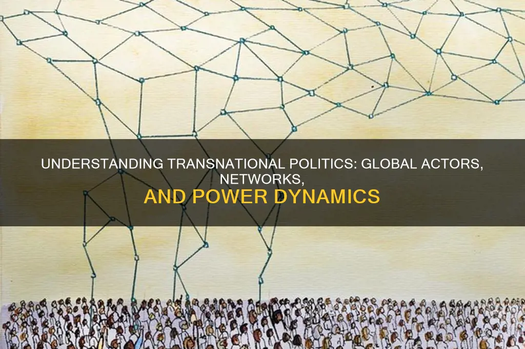 what is transnational politics