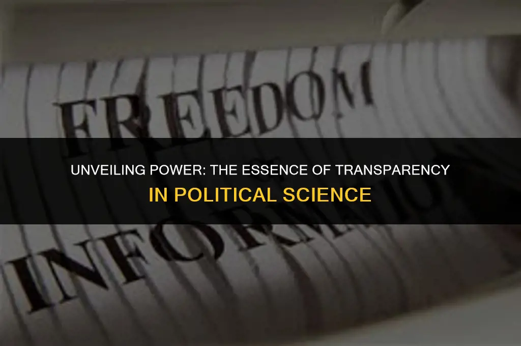 what is transparency in political science