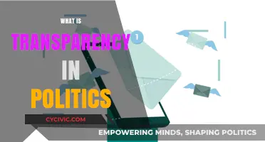 Unveiling Political Transparency: Trust, Accountability, and Open Governance Explained