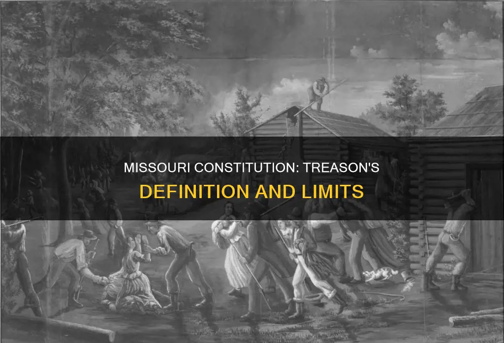 what is treason according to the missouri constitution