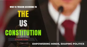 Treason's Definition: Exploring the US Constitution