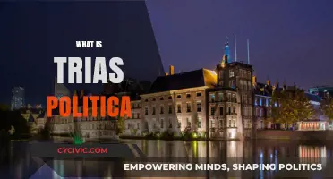 Understanding Trias Politica: The Separation of Powers Explained