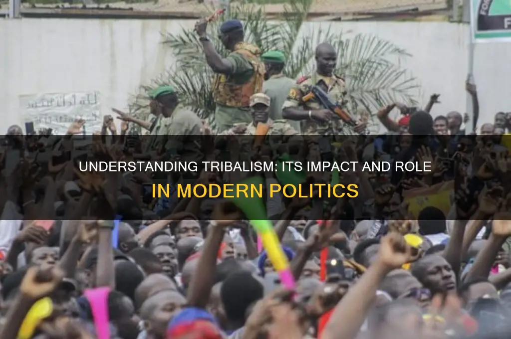 what is tribalism in politics