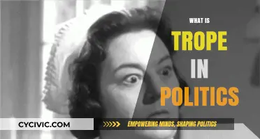 Decoding Political Tropes: Understanding Their Role and Impact in Politics