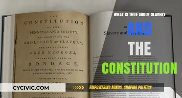 Slavery's Constitutional Legacy: Understanding America's Dark Past