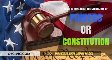 Separation of Powers: Democracy's Constitutional Safeguard
