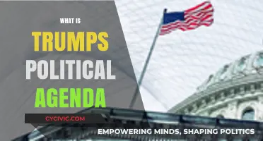 Understanding Trump's Political Agenda: Policies, Priorities, and Impact