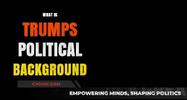 Donald Trump's Political Journey: From Business Mogul to President