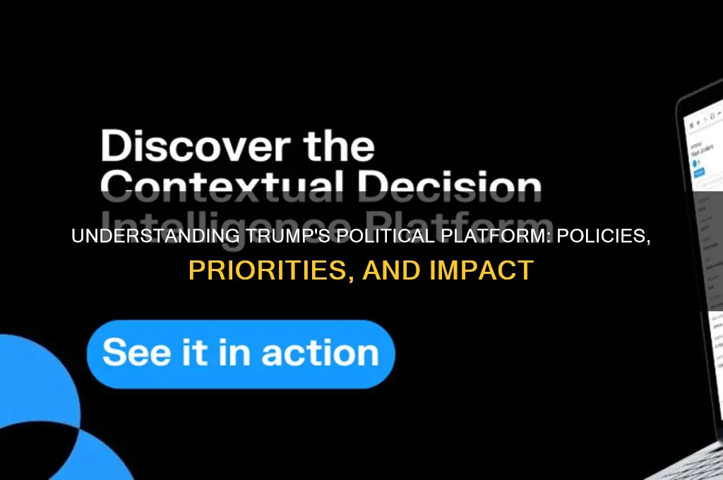 what is trumps political platform