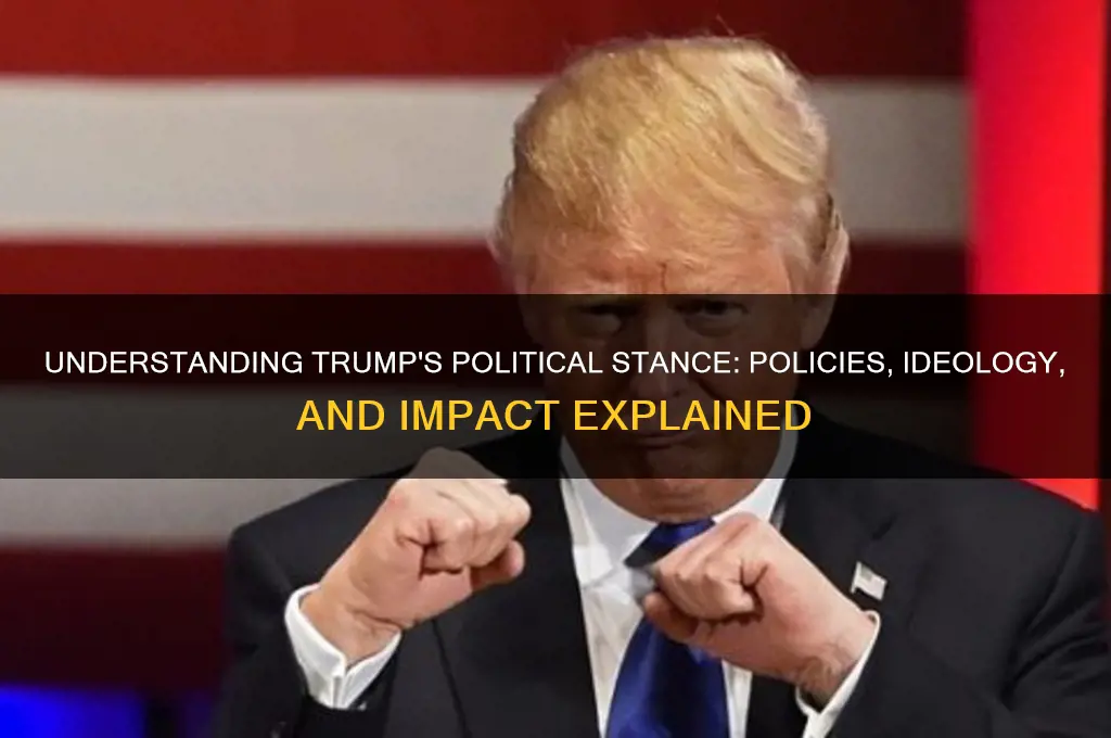 what is trumps political stance