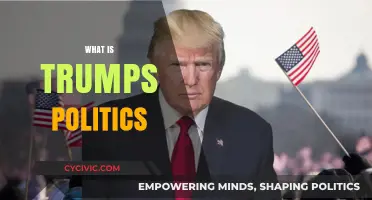 Understanding Trump's Political Ideology: Populism, Nationalism, and Conservative Policies