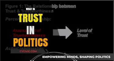 Rebuilding Trust in Politics: Understanding Its Role and Impact on Democracy