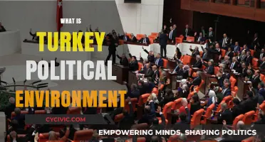 Understanding Turkey's Political Landscape: Key Factors and Dynamics