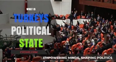 Turkey's Political Landscape: Democracy, Challenges, and Future Prospects Explored
