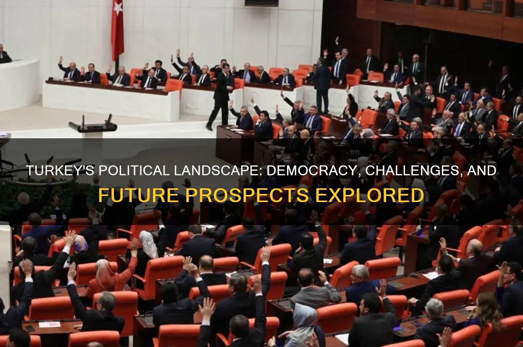 what is turkeys political state