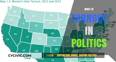 Understanding Political Turnout: What It Means and Why It Matters