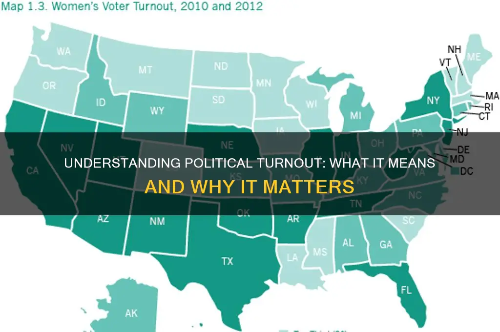 what is turnout in politics