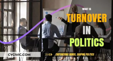 Understanding Political Turnover: Causes, Impact, and Implications for Governance