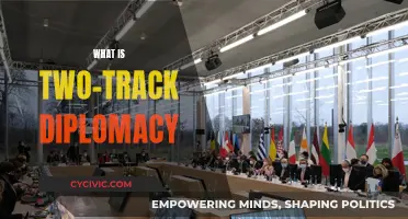 Two-Track Diplomacy: Navigating Complex International Relations