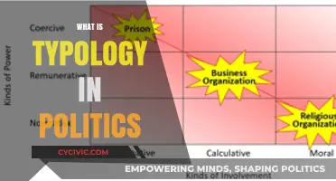 Understanding Political Typology: Frameworks, Classifications, and Ideological Analysis