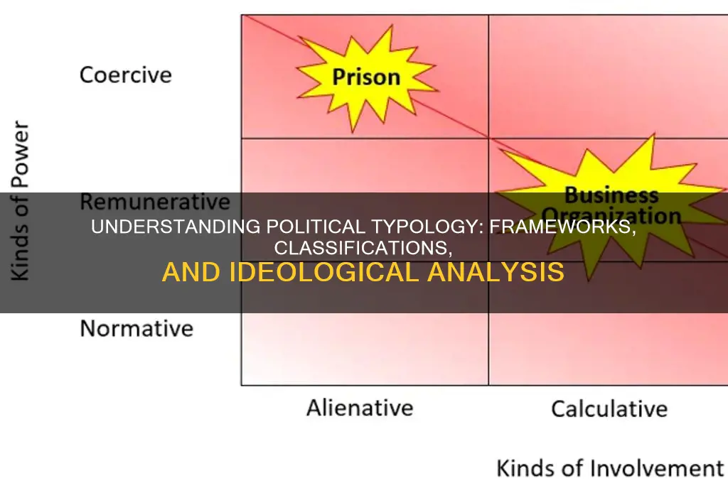 what is typology in politics
