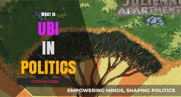 Understanding Universal Basic Income: A Political and Economic Overview