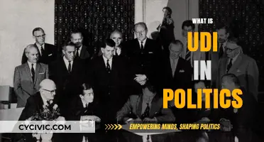 Understanding UDI: Political Implications and Historical Significance Explained