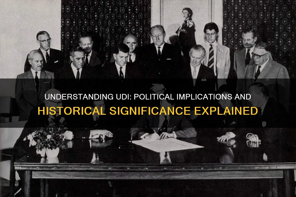 what is udi in politics