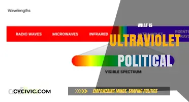 Understanding Ultraviolet Politics: A New Spectrum of Political Ideologies